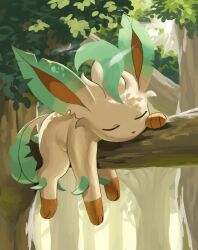 Rule 34 | absurdres, animal focus, closed eyes, commentary request, creatures (company), day, game freak, gen 4 pokemon, highres, jira (ziraiya26), leafeon, lying, nintendo, no humans, on stomach, outdoors, pokemon, pokemon (creature), sleeping, solo, tree