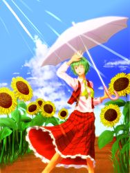 Rule 34 | 1girl, female focus, flower, green hair, kazami yuuka, parasol, red eyes, retishia, solo, sunflower, touhou, umbrella