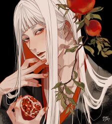 Rule 34 | 1boy, black background, black kimono, blunt bangs, branch, brown eyes, fingernails, food, fruit, hand up, head tilt, highres, holding, holding food, holding fruit, japanese clothes, kagoya1219, kimono, leaf, long hair, looking at viewer, male focus, original, pomegranate, signature, simple background, solo, straight hair, upper body, white hair
