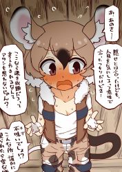 Rule 34 | 1girl, 370ml, animal ears, bad id, bad twitter id, blush, bomber jacket, brown eyes, brown vest, camouflage, camouflage pants, commentary request, embarrassed, extra ears, fingerless gloves, flying sweatdrops, from above, fur collar, gambian rat (kemono friends), gloves, hair tie, highres, jacket, kemono friends, knee pads, light brown hair, looking away, mouse ears, mouse girl, multicolored hair, nose blush, pants, shirt, short hair, solo, sweatdrop, t-shirt, translation request, vest, white fur, white gloves, white hair, white shirt