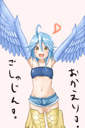Rule 34 | 10s, 1girl, :d, \o/, ahoge, arms up, bandeau, blue hair, breasts, groin, happy, harpy, heart, highres, kagarimachi konatsu, looking at viewer, midriff, monster girl, monster musume no iru nichijou, navel, open mouth, outstretched arms, papi (monster musume), short shorts, shorts, simple background, small breasts, smile, solo, winged arms, wings, yellow eyes