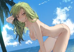Rule 34 | 1girl, arm up, bent over, bikini, blue sky, blush, breasts, c.c., cleavage, code geass, creayus, day, green hair, hand in own hair, hanging breasts, horizon, long hair, looking at viewer, medium breasts, navel, ocean, outdoors, palm tree, parted lips, sky, solo, swimsuit, thighs, tree, wet, white bikini, yellow eyes