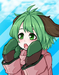 Rule 34 | 1girl, adapted costume, animal ears, blue background, blush, coat, gloves, green eyes, green gloves, green hair, hands up, highres, jakomurashi, kasodani kyouko, long sleeves, mittens, open mouth, pink coat, short hair, solo, striped, striped background, teeth, touhou, two-tone background, upper body, winter clothes, winter coat