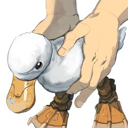 Rule 34 | 1other, animal, animal focus, bird, duck, grey background, hand focus, highres, holding, holding animal, level-00, mechanical legs, original, serious, simple background
