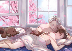 Rule 34 | 10s, 2boys, = =, animal, bed, bed sheet, blue eyes, blush, brown hair, cherry blossoms, collarbone, day, dog, closed eyes, hand on another&#039;s back, indoors, jewelry, katsuki yuuri, looking at another, lying, makkachin, male focus, multiple boys, on stomach, parted lips, petals, pillow, ring, silver hair, sky, sleeping, smile, soramimi (sea7sky7), tongue, tongue out, tree, under covers, viktor nikiforov, window, yaoi, yuri!!! on ice