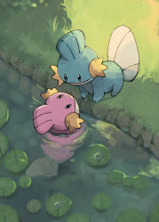 Rule 34 | alternate color, bad id, bad pixiv id, blue skin, closed mouth, colored skin, commentary request, couple, creatures (company), day, eye contact, from above, game freak, gen 3 pokemon, grass, highres, ii ebidashi, lily pad, looking at another, mudkip, nintendo, no humans, outdoors, pink skin, pokemon, pokemon (creature), shiny and normal, shiny pokemon, smile, water