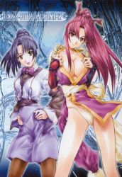 Rule 34 | 00s, 2girls, blue hair, bow, bowtie, breasts, brown eyes, cleavage, crossover, fatal fury, grey eyes, gunparade march, hands on own hips, large breasts, loincloth, long hair, multiple girls, open clothes, open shirt, panties, pantyhose, pelvic curtain, pink hair, ponytail, rope, shibamura mai, shiranui mai, shirt, snk, soyosoyo, standing, the king of fighters, underwear, white panties