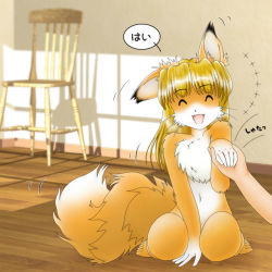 Rule 34 | 1girl, animal ears, barefoot, blonde hair, chair, eyebrows, closed eyes, feet, fox ears, fox tail, full body, furry, long hair, navel, nude, open mouth, partially translated, pisipisi, sitting, smile, solo focus, tail, toes, translation request, whiskers