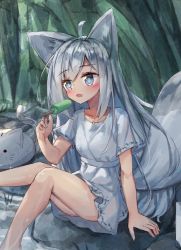 Rule 34 | 1girl, ahoge, animal, animal ear fluff, animal ears, arm support, blue eyes, cat, collarbone, day, dress, food, forest, fox ears, fox girl, fox tail, hair between eyes, hand up, highres, holding, holding food, long hair, nature, open mouth, original, outdoors, popsicle, rock, short sleeves, silver hair, sitting, solo, sparkle, tail, tandohark, very long hair, white dress