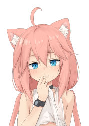 Rule 34 | 1girl, absurdres, ahoge, animal ear fluff, animal ears, bare shoulders, black choker, blue eyes, blush, cat ears, choker, closed mouth, clothes lift, female focus, hair between eyes, highres, hinata channel, long hair, looking at viewer, low twintails, nekomiya hinata, pink hair, shirt lift, simple background, smile, solo, sweat, tank top, twintails, upper body, virtual youtuber, watch, white background, white tank top, wristwatch, yakihebi
