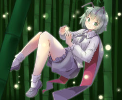 Rule 34 | 1girl, antennae, arnest, bamboo, bamboo forest, black cape, black footwear, black shorts, blush, cape, collared shirt, fireflies, forest, frilled shorts, frilled sleeves, frills, green eyes, green hair, legs, loafers, long sleeves, looking at viewer, nature, night, red cape, shirt, shoes, short hair, shorts, smile, socks, thighs, touhou, two-sided cape, two-sided fabric, white shirt, white socks, wriggle nightbug