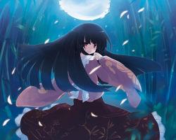 Rule 34 | 1girl, bamboo, black hair, bow, dress, female focus, forest, from behind, gradient background, houraisan kaguya, japanese clothes, long hair, looking back, moon, nature, night, outdoors, petals, plant, red eyes, sky, smile, solo, touhou, yukitarou (awamori)