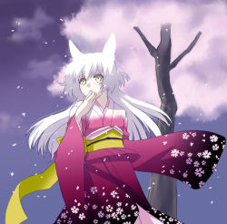 Rule 34 | animal ears, fox ears, japanese clothes, kimono, mattaku mousuke, original, white hair, yellow eyes