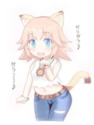 Rule 34 | 1girl, :3, alternate hair length, alternate hairstyle, animal ears, belt, blouse, blue eyes, blush, capumilian, fang, farfalia, gao, jewelry, lion ears, lion girl, lion tail, looking at viewer, midriff, navel, necklace, open mouth, paw pose, pink hair, pop-up story, shirt, short hair, simple background, smile, solo, tail, torn clothes, torn shirt, torn sleeves, white background