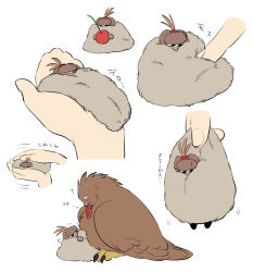 Rule 34 | 1boy, animal, arrow (symbol), beak hold, bird, brown headwear, cherry, chibi, cloak, closed eyes, disembodied hand, food, fruit, fur blanket, fur cloak, fur hat, hat, hat feather, highres, holding, holding food, holding fruit, in palm, kenkon no washi, li sakura, long sleeves, looking at another, looking down, looking to the side, looking up, lying, male focus, meat, mini person, miniboy, mouth hold, multiple views, picking up, robe, sleeping, sweatdrop, under covers