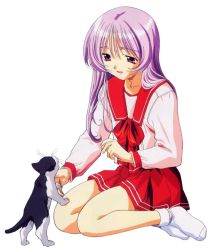 Rule 34 | cat, himekawa kotone, kneeling, purple eyes, purple hair, school uniform, serafuku, solo, to heart, to heart (series)