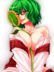 Rule 34 | 1girl, bare shoulders, between breasts, blush, breasts, cleavage, female focus, flower, green hair, kazami yuuka, large breasts, mokku, naughty face, open clothes, open shirt, red eyes, shirt, short hair, solo, sunflower, tongue, touhou