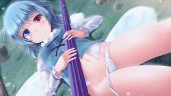 Rule 34 | 1girl, blue eyes, blue hair, blue vest, closed mouth, commentary request, cross-laced clothes, heterochromia, highres, long sleeves, looking at viewer, lzh, navel, outdoors, panties, panty pull, purple umbrella, red eyes, see-through, see-through panties, shirt, short hair, smile, solo, tatara kogasa, touhou, umbrella, underwear, vest, white shirt