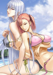 Rule 34 | 00s, 10s, 2girls, back-to-back, beach, bikini, breasts, brown hair, cleavage, day, large breasts, long hair, morisu, multicolored hair, multiple girls, red eyes, riela marcellis, selvaria bles, senjou no valkyria (series), senjou no valkyria 1, senjou no valkyria 3, side ponytail, silver hair, swimsuit, trait connection, very long hair