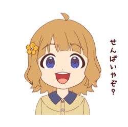 Rule 34 | aged down, ahoge, amagamip, blue eyes, brown hair, brown shirt, buttons, commentary request, flower, hair flower, hair ornament, idolmaster, idolmaster million live!, looking at viewer, open mouth, shirt, short hair, sidelocks, solo, suou momoko, teeth, translation request, upper body, upper teeth only, white background, wing collar