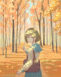 Rule 34 | 1girl, absurdres, bag, blue eyes, blue sailor collar, blue skirt, closed mouth, commentary request, forest, from behind, highres, holding, holding leaf, leaf, light brown hair, looking at viewer, looking back, nature, original, outdoors, sailor collar, school bag, school uniform, serafuku, shadow, short hair, skirt, smile, solo, x.x.d.x.c