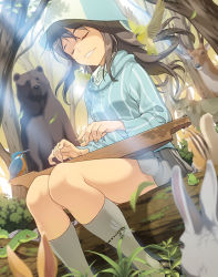 Rule 34 | 10s, 1girl, animal, bear, bird, blue hat, blurry, brown hair, bug, chipmunk, closed eyes, day, deer, depth of field, dragonfly, forest, frog, girls und panzer, hat, insect, instrument, jacket, kantele, light rays, log, long hair, mika (girls und panzer), nature, pairan, rabbit, shoes, sitting, skirt, smile, snake, socks, solo, squirrel, sunbeam, sunlight, track jacket, tree