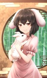 Rule 34 | 1girl, absurdres, animal, animal ears, bamboo, bamboo forest, black hair, carrot necklace, chinese zodiac, dress, forest, highres, holding, holding animal, inaba tewi, jewelry, kuneamorai, looking at viewer, nature, necklace, pink dress, rabbit, rabbit ears, red eyes, short sleeves, smile, solo, touhou, window, year of the rabbit