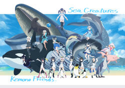 Rule 34 | 6+girls, animal ears, beach, black hair, blonde hair, blue sky, blue whale, blue whale (kemono friends), blush, breasts, brown eyes, california sea lion (kemono friends), californian sea otter (kemono friends), chinese white dolphin (kemono friends), common bottlenose dolphin (kemono friends), common dolphin (kemono friends), creature and personification, dolphin, emperor penguin (kemono friends), gentoo penguin (kemono friends), giant penguin (kemono friends), hair over one eye, headphones, highres, hood, humboldt penguin (kemono friends), jacket, kemono friends, kemono friends 3, leotard, long hair, looking at viewer, medium breasts, multicolored hair, multiple girls, narwhal, narwhal (kemono friends), open mouth, orca, orca (kemono friends), otter, penguins performance project (kemono friends), red eyes, rockhopper penguin (kemono friends), royal penguin (kemono friends), sea lion, short hair, skirt, sky, small breasts, smile, tail, thighhighs, white hair, yamaguchi yoshimi