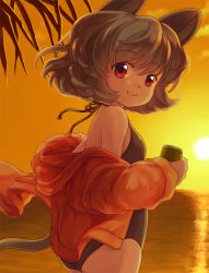 Rule 34 | 1girl, animal ears, back, backlighting, from behind, gradient background, grey hair, iris anemone, long sleeves, looking at viewer, looking back, mouse ears, mouse tail, nazrin, ocean, off shoulder, one-piece swimsuit, open clothes, open vest, red eyes, short hair, sky, smile, solo, sun, swimsuit, tail, touhou, twitter username, vest, water