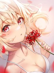 Rule 34 | 1girl, :o, absurdres, asymmetrical hair, atychi, bikini, bikini top only, blonde hair, blurry, blush, breasts, cleavage, collarbone, depth of field, falling petals, floating hair, flower, highres, holding, holding flower, looking at viewer, lycoris recoil, medium breasts, nishikigi chisato, parted lips, petals, red eyes, short hair, solo, spider lily, swimsuit, upper body