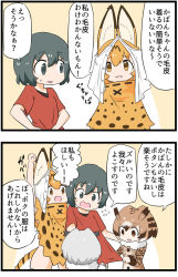 Rule 34 | 10s, 4girls, animal ears, black eyes, black hair, brown eyes, brown hair, commentary request, eurasian eagle owl (kemono friends), fur collar, head wings, kaban (kemono friends), kemejiho, kemono friends, multiple girls, no headwear, no nose, northern white-faced owl (kemono friends), red shirt, serval (kemono friends), serval print, serval tail, shirt, silver hair, t-shirt, tail, wings