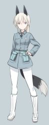 Rule 34 | 1girl, aged up, animal ears, belt, blue belt, blue eyes, blue jacket, boots, closed mouth, commentary, eila ilmatar juutilainen, fox ears, fox tail, full body, grey background, hand on own hip, jacket, knee boots, long hair, long sleeves, looking at viewer, military, military uniform, no pants, pantyhose, pouch, shimada fumikane, silver hair, simple background, smile, solo, standing, strike witches, tail, uniform, white footwear, white pantyhose, world witches series