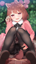 Rule 34 | 1girl, :d, animal ears, black bow, black bowtie, black pantyhose, bow, bowtie, brown hair, dog ears, dog girl, dog tail, highres, jacket, knees together feet apart, long hair, long sleeves, medium hair, open clothes, open jacket, open mouth, original, panties, panties under pantyhose, pantyhose, pink eyes, pink jacket, shirt, shoes, smile, solo, tachimi (basue), tail, underwear, white shirt