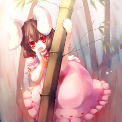 Rule 34 | 1girl, animal ears, bamboo, bamboo forest, brown hair, rabbit ears, forest, gengetsu chihiro, hand to own mouth, highres, inaba tewi, jewelry, looking at viewer, nature, open mouth, pendant, red eyes, solo, touhou, whispering