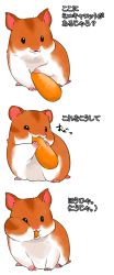 Rule 34 | 3koma, :3, animal, black eyes, carrot, comic, commentary request, eating, food in mouth, fukurou (owl222), hamster, highres, no humans, original, seed, simple background, translation request, white background