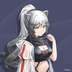Rule 34 | 1girl, animal ears, arknights, breasts, cat ears, cleavage, commentary, crop top, grey hair, hair between eyes, jacket, jiuyu qame, large breasts, long hair, looking at viewer, midriff, navel, open clothes, open jacket, ponytail, schwarz (arknights), solo, stomach, upper body, very long hair, yellow eyes