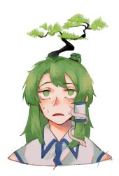 Rule 34 | 1girl, absurdres, blush, bonsai, boy&#039;s club, collared shirt, commentary, frog hair ornament, green eyes, green hair, hair ornament, highres, kochiya sanae, long hair, medium bangs, open mouth, pepe the frog, plant on head, shirt, sidelocks, simple background, single hair tube, sinonon218, snake hair ornament, solo, sweatdrop, touhou, tree, upper body, white background, white shirt