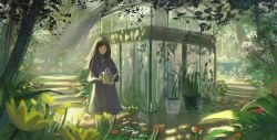 Rule 34 | 1girl, bad id, bad twitter id, blue dress, blurry, blurry foreground, blush, brown eyes, brown hair, closed mouth, commentary request, dappled sunlight, depth of field, dress, flower, grass, holding, light particles, long sleeves, looking at viewer, nature, original, outdoors, plant, potted plant, red flower, reido (reido c), solo, stairs, standing, sunlight, watering can, yellow flower