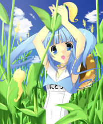 Rule 34 | 1girl, blue eyes, blue hair, corn, crop top, day, female focus, hat, itose ikuto, kawashiro nitori, long hair, matching hair/eyes, no pants, one-piece swimsuit, outdoors, school swimsuit, sky, solo, straw hat, swimsuit, swimsuit under clothes, touhou, twintails, two side up, white school swimsuit, white one-piece swimsuit