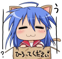 Rule 34 | 00s, animal ears, animated, animated gif, blue hair, blush, box, cat ears, cat tail, in box, in container, izumi konata, lowres, lucky star, school uniform, serafuku, tail
