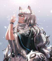 Rule 34 | 1girl, animal ear fluff, animal ears, arknights, bad id, bad twitter id, black cape, cape, commentary, dress, from side, gradient background, grey background, grey eyes, hands up, head chain, jewelry, leopard ears, leopard tail, long hair, own hands together, palms together, pramanix (arknights), profile, silence girl, silver hair, solo, tail, turtleneck, turtleneck dress, upper body, white dress, wide sleeves