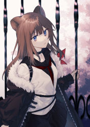 Rule 34 | 1girl, absurdres, animal ears, arknights, bear ears, bear girl, black coat, black sailor collar, black skirt, blue eyes, brown hair, buckle, closed mouth, coat, collar, commentary request, cowboy shot, fence, highres, idass (idass16), jacket, long hair, long sleeves, looking at viewer, miniskirt, neckerchief, open clothes, open coat, pleated skirt, red neckerchief, sailor collar, school uniform, skirt, solo, unzipped, white jacket, zima (arknights)