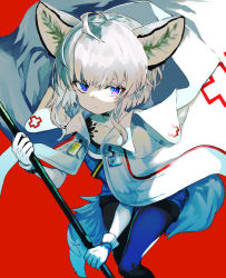 Rule 34 | 1girl, animal ears, arknights, blouse, blue pantyhose, blue shirt, blue shorts, closed mouth, commentary request, gloves, grey hair, hair between eyes, holding, hood, hood down, hooded jacket, infection monitor (arknights), jacket, jacket on shoulders, material growth, oripathy lesion (arknights), pantyhose, pantyhose under shorts, purple eyes, red background, shiromiso, shirt, short shorts, shorts, simple background, solo, sussurro (arknights), tail, wavy mouth, white gloves, white jacket
