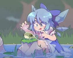 Rule 34 | 1girl, blue bow, blue eyes, blue hair, blush, bow, cirno, closed mouth, dosh, frog, hair bow, highres, looking away, outdoors, puffy short sleeves, puffy sleeves, short hair, short sleeves, solo, tongue, tongue out, touhou, water