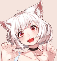 Rule 34 | &gt;:3, &gt;:d, 1girl, :3, :d, ahoge, albino, animal ears, bad id, bad pixiv id, blush, bob cut, brown background, cat ears, claw pose, collarbone, fangs, fingernails, head tilt, hoshi usagi, looking at viewer, open mouth, original, portrait, red eyes, sharp fingernails, short hair, simple background, smile, solo, teeth, upper body, v-shaped eyebrows, white hair