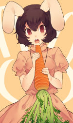 Rule 34 | 1girl, animal ears, bad id, bad pixiv id, black hair, breasts, buck teeth, carrot, dress, food, food on face, highres, holding, holding food, inaba tewi, looking at viewer, medium breasts, open mouth, oversized object, pink dress, puffy short sleeves, puffy sleeves, rabbit ears, red eyes, short hair, short sleeves, solo, teeth, touhou, upper body, yuusei tsukiro