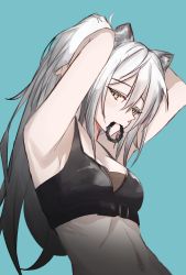 Rule 34 | 1girl, animal ears, arknights, armpits, arms up, bare shoulders, blue background, breasts, cat ears, cleavage, commentary, crop top, hair between eyes, hair tie in mouth, highres, living doll, long hair, looking at viewer, midriff, mouth hold, navel, schwarz (arknights), silver hair, simple background, sleeveless, small breasts, solo, stomach, upper body, yellow eyes