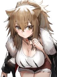 Rule 34 | 1girl, animal ears, arknights, bent over, black jacket, blush, breasts, brown eyes, brown hair, candy, cleavage, closed mouth, collarbone, cowboy shot, food, fur-trimmed jacket, fur-trimmed shorts, fur trim, hair between eyes, highres, holding, holding food, horn/wood, jacket, jacket on shoulders, large breasts, lion ears, lollipop, long hair, looking at viewer, open clothes, open jacket, ponytail, red shorts, shirt, short shorts, shorts, siege (arknights), simple background, solo, tank top, white background, white shirt