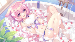 Rule 34 | 1girl, animal ears, barefoot, bathing, bathtub, bikini, blue bikini, dog ears, foam, from above, highres, kaito (k4itoh), looking at viewer, lying, navel, parted lips, partially submerged, petals, pink hair, swimsuit, thigh strap, virtual youtuber, water, wrist cuffs