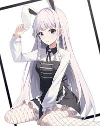 Rule 34 | 1girl, animal ears, between legs, black collar, black ribbon, blunt bangs, braid, closed mouth, collar, commentary, fishnets, framed, grey eyes, hand between legs, hand up, highres, kimi (jxrm5387), light blush, long hair, long sleeves, looking at viewer, neck ribbon, original, rabbit ears, ribbon, shirt, silver hair, simple background, sitting, solo, wariza, white background, white shirt